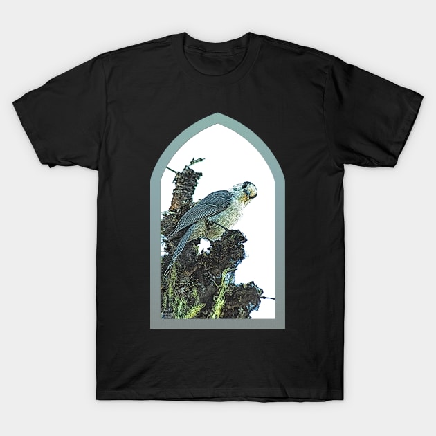 The Watcher T-Shirt by kimberlyjtphotoart